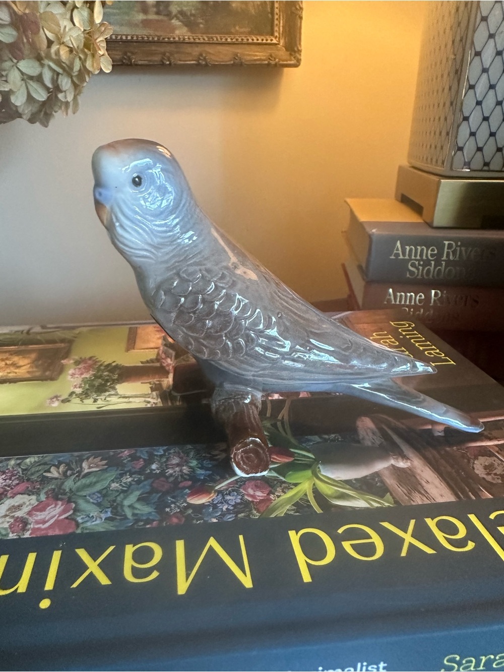 Vtg Bone China Parakeet.